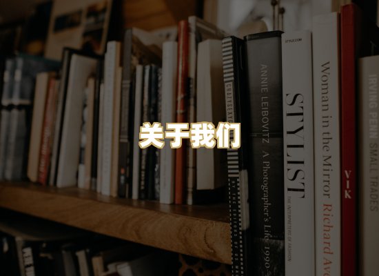关于我们