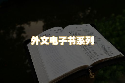 外文电子书系列